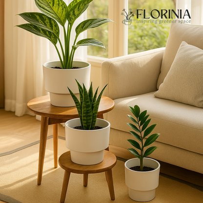 3-Piece White Plastic Planter Pot Set – Modern Pedestal Base